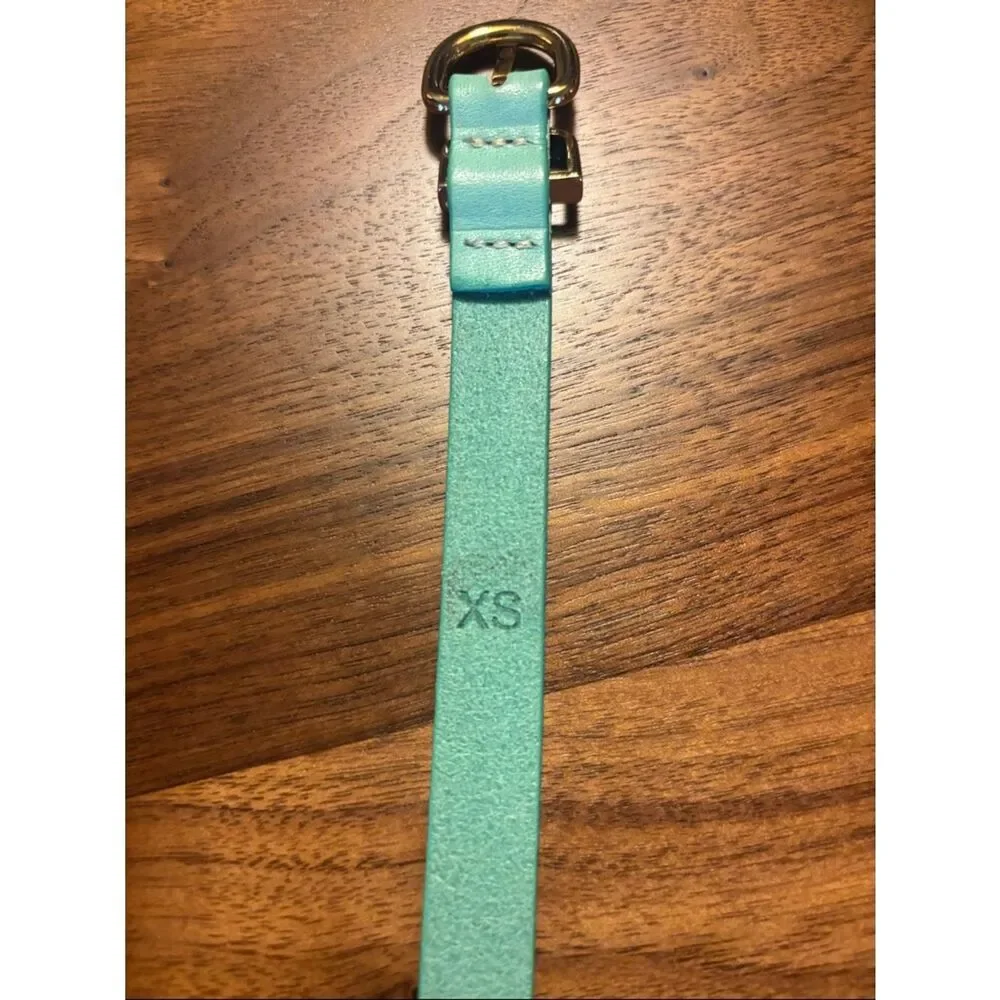 J. Crew Turqoise Skinny Leather Belt with Gold-Tone Buckle - XS - Picture 5 of 7